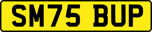 SM75BUP