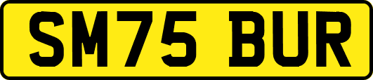 SM75BUR