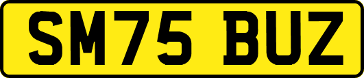 SM75BUZ