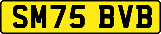 SM75BVB