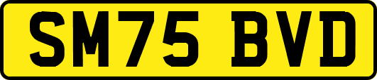 SM75BVD