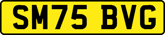SM75BVG