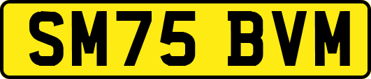 SM75BVM