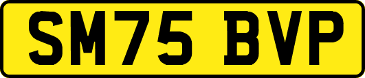 SM75BVP