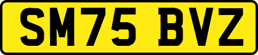 SM75BVZ