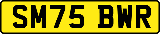 SM75BWR
