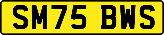 SM75BWS
