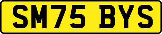 SM75BYS