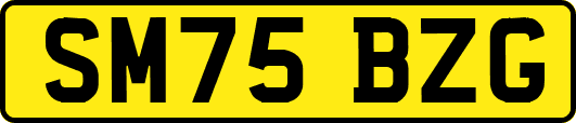 SM75BZG
