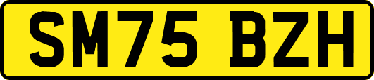 SM75BZH
