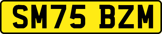 SM75BZM