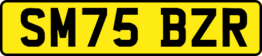 SM75BZR