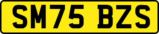 SM75BZS