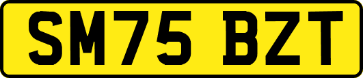 SM75BZT