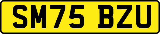 SM75BZU