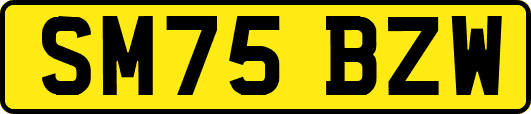 SM75BZW