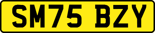 SM75BZY