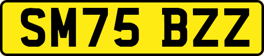 SM75BZZ