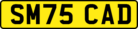 SM75CAD