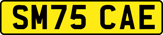 SM75CAE
