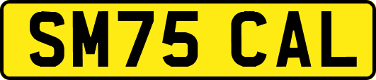 SM75CAL