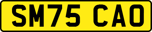 SM75CAO
