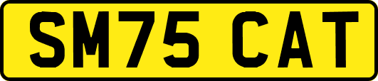 SM75CAT
