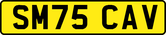SM75CAV
