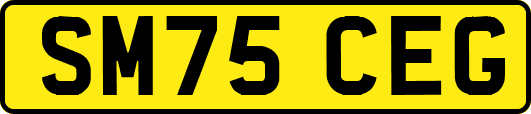 SM75CEG