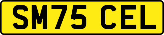 SM75CEL