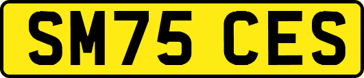 SM75CES