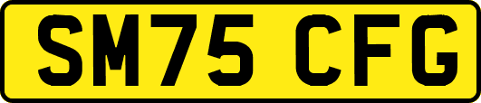 SM75CFG