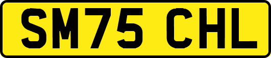 SM75CHL