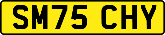 SM75CHY