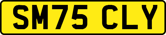 SM75CLY
