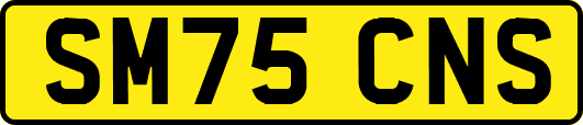 SM75CNS