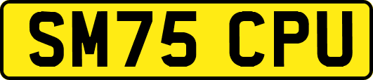 SM75CPU