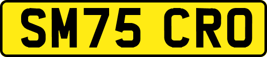 SM75CRO