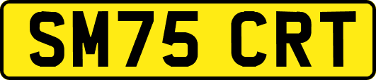 SM75CRT