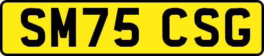 SM75CSG