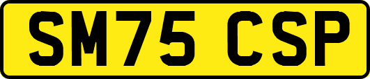 SM75CSP