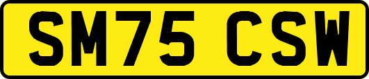 SM75CSW