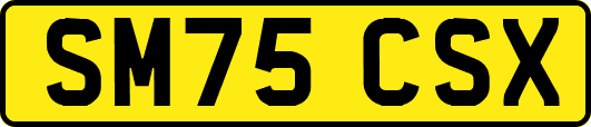 SM75CSX