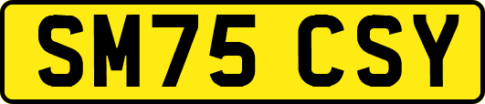 SM75CSY