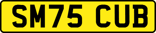 SM75CUB