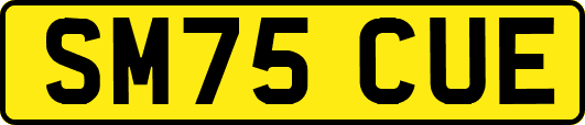 SM75CUE