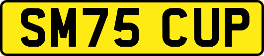 SM75CUP