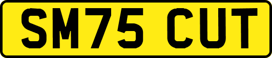 SM75CUT