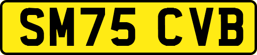 SM75CVB