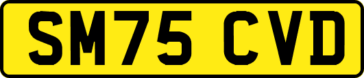 SM75CVD